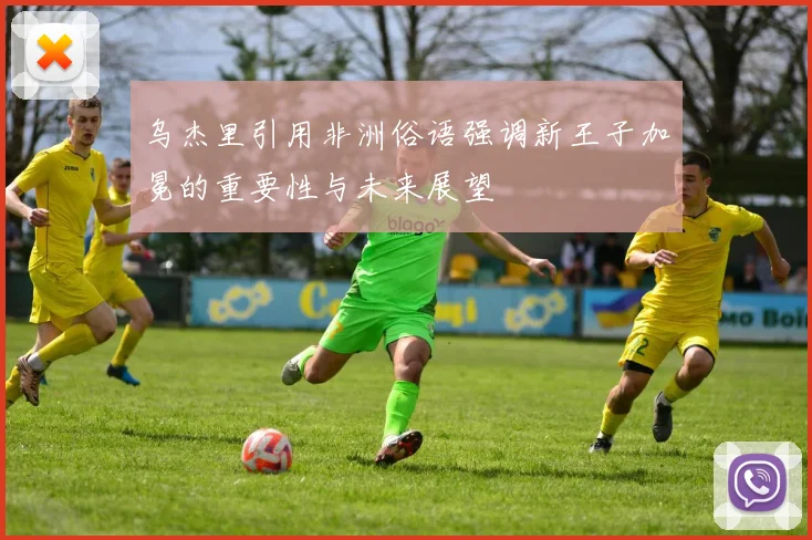 乌杰里引用非洲俗语强调新王子加冕的重要性与未来展望
